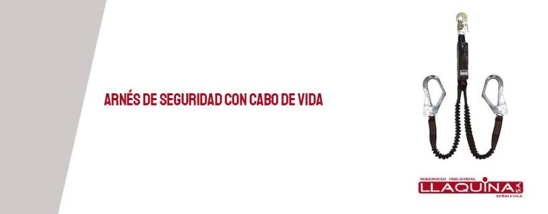 Arnés de seguridad con cabo de vida