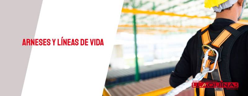 Arneses y líneas de vida