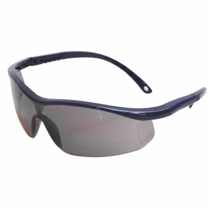 Anteojo Libus Argon Elite, Tono Gris, Antirraye